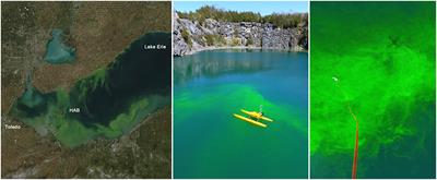 Perspectives on Harmful Algal Blooms (HABs) and the Cyberbiosecurity of Freshwater Systems